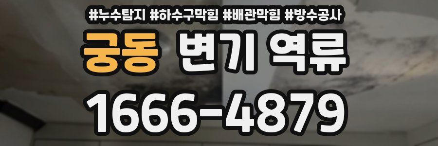 궁동 변기 역류