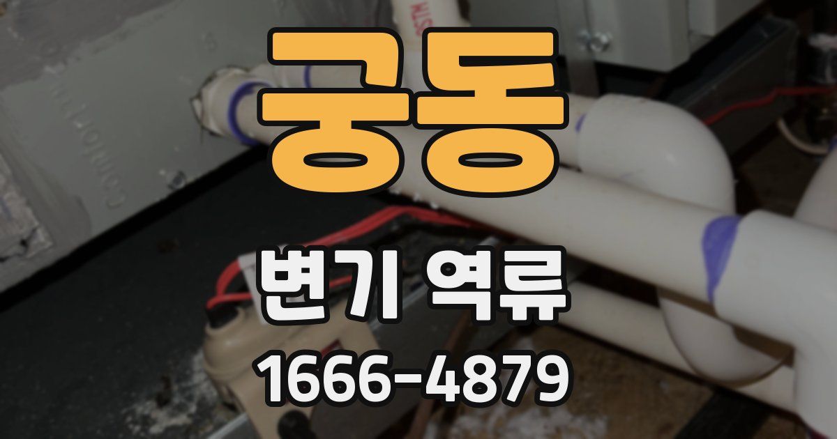 궁동 변기 역류