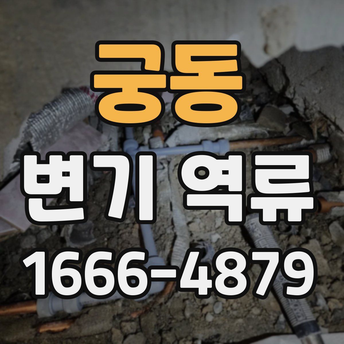 궁동 변기 역류