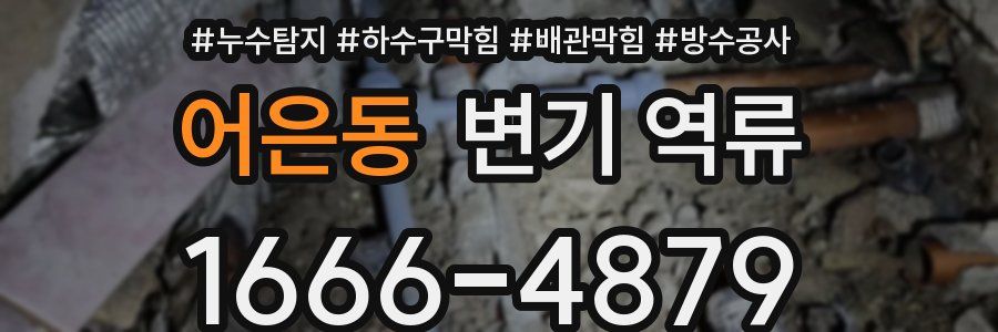 어은동 변기 역류