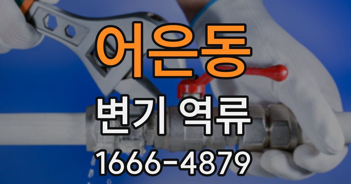 어은동 변기 역류