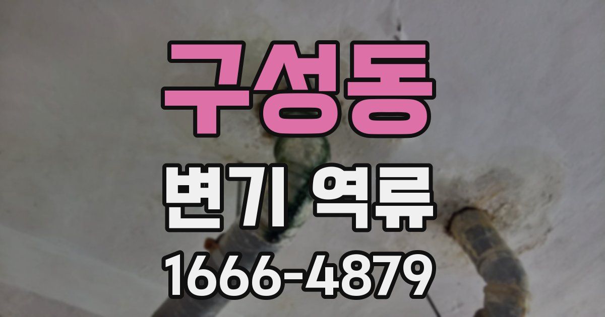 구성동 변기 역류