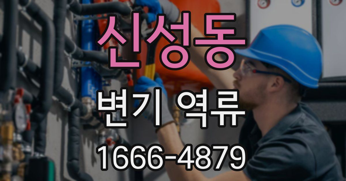 신성동 변기 역류