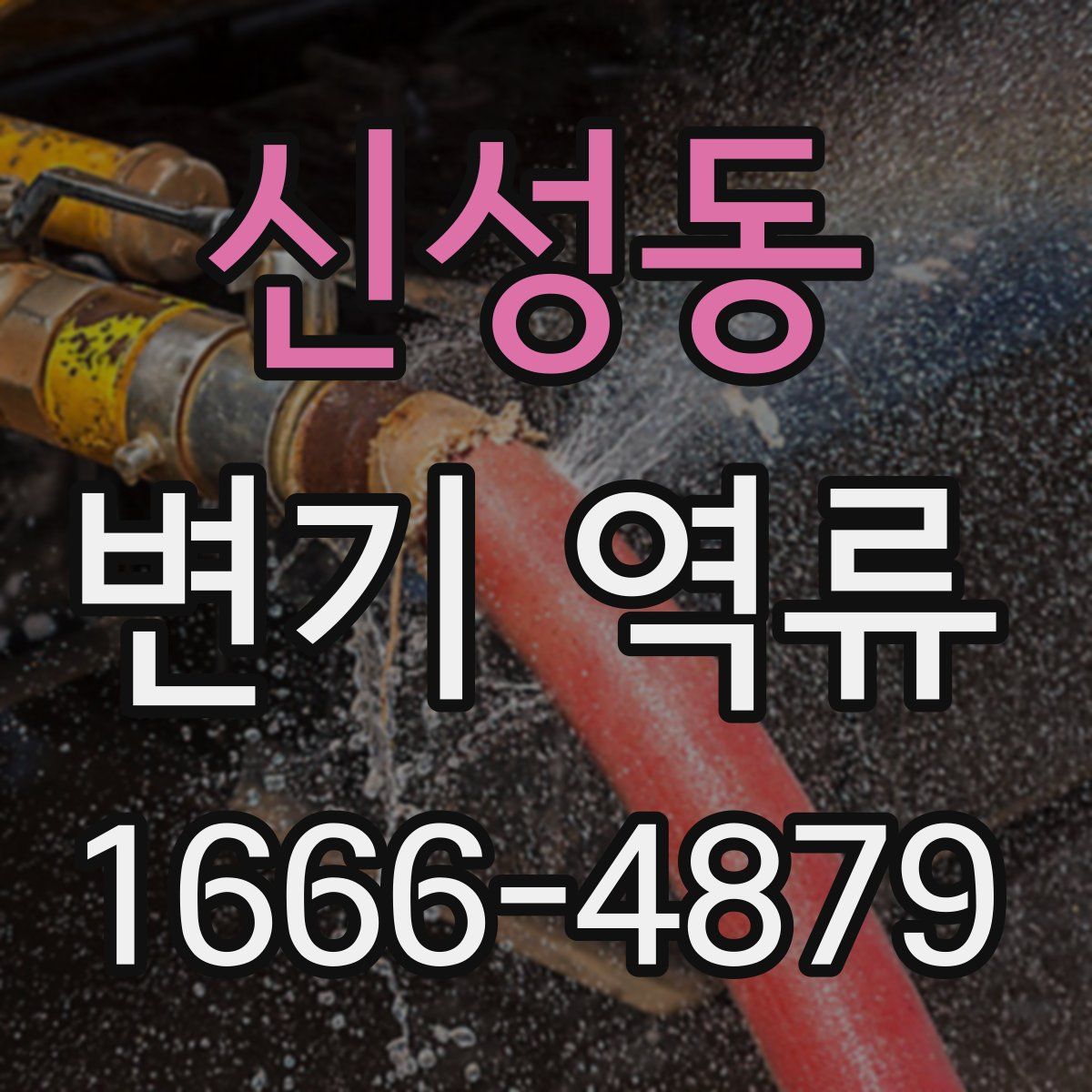 신성동 변기 역류
