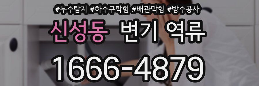 신성동 변기 역류