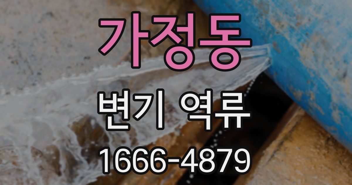 가정동 변기 역류