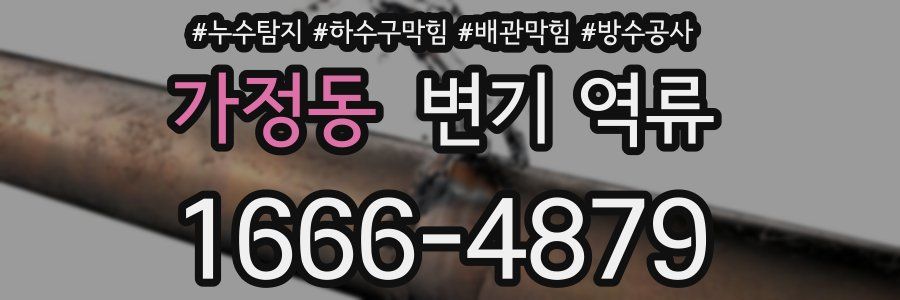 가정동 변기 역류