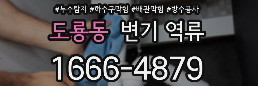 도룡동 변기 역류