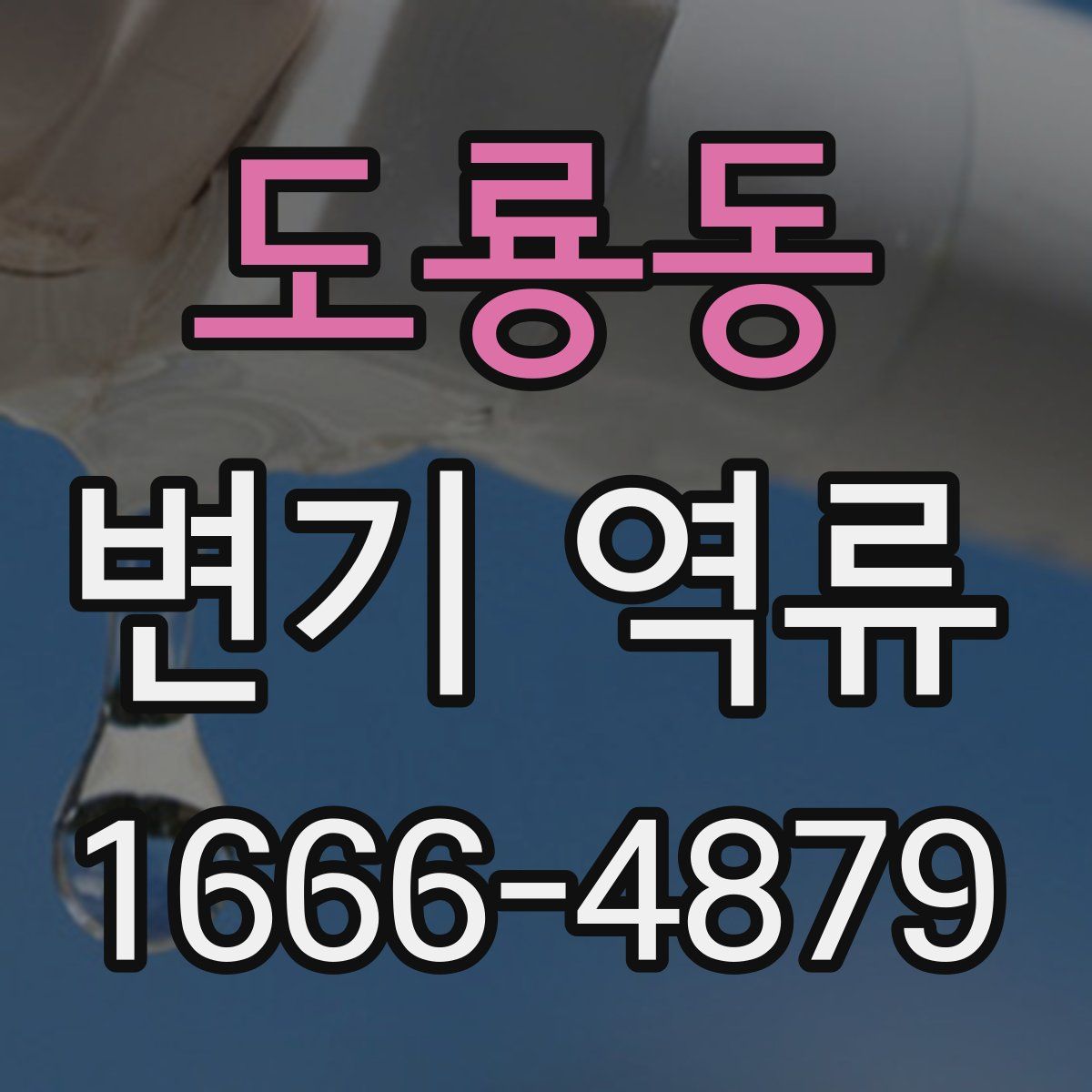 도룡동 변기 역류