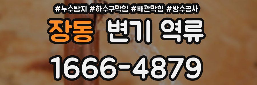 장동 변기 역류