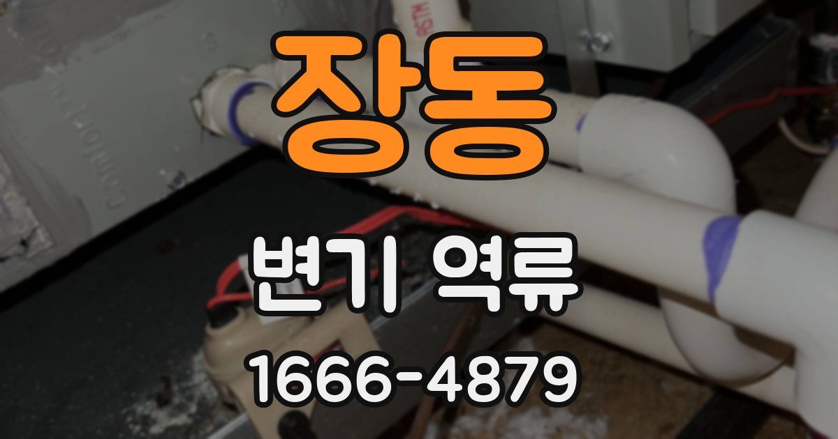 장동 변기 역류
