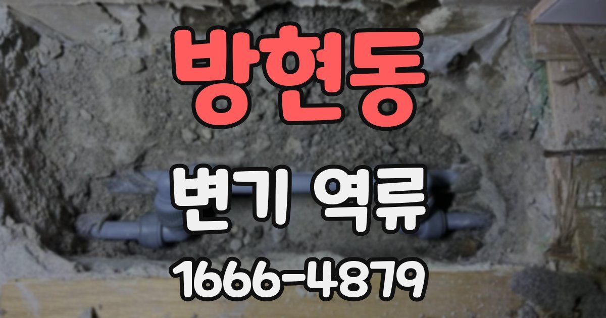 방현동 변기 역류