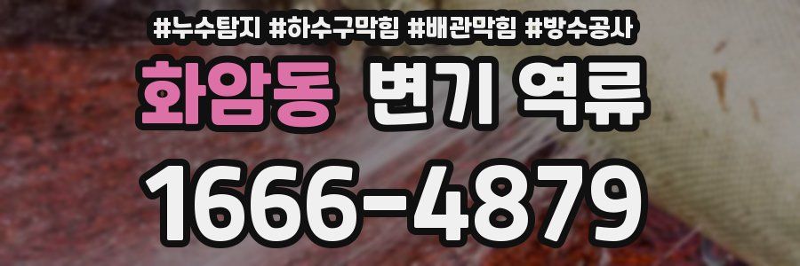 화암동 변기 역류