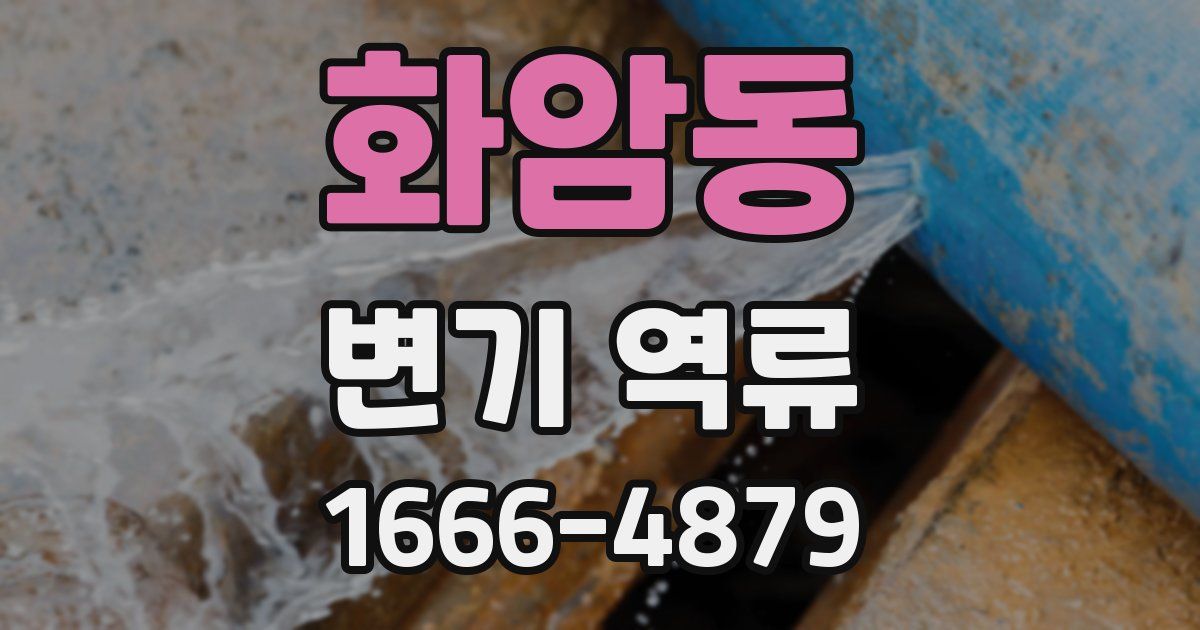 화암동 변기 역류