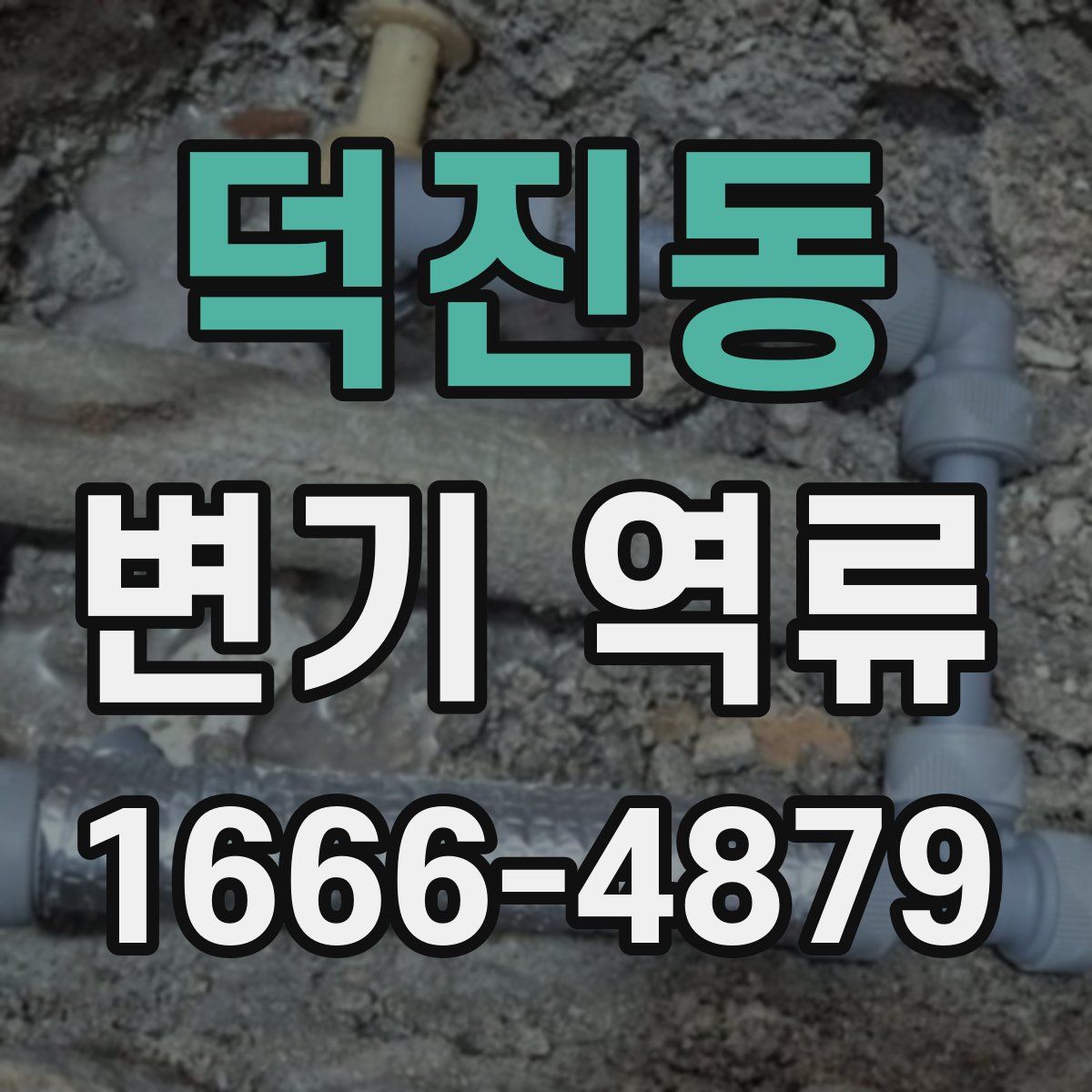 덕진동 변기 역류