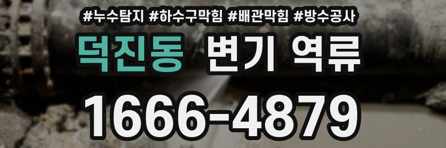 덕진동 변기 역류