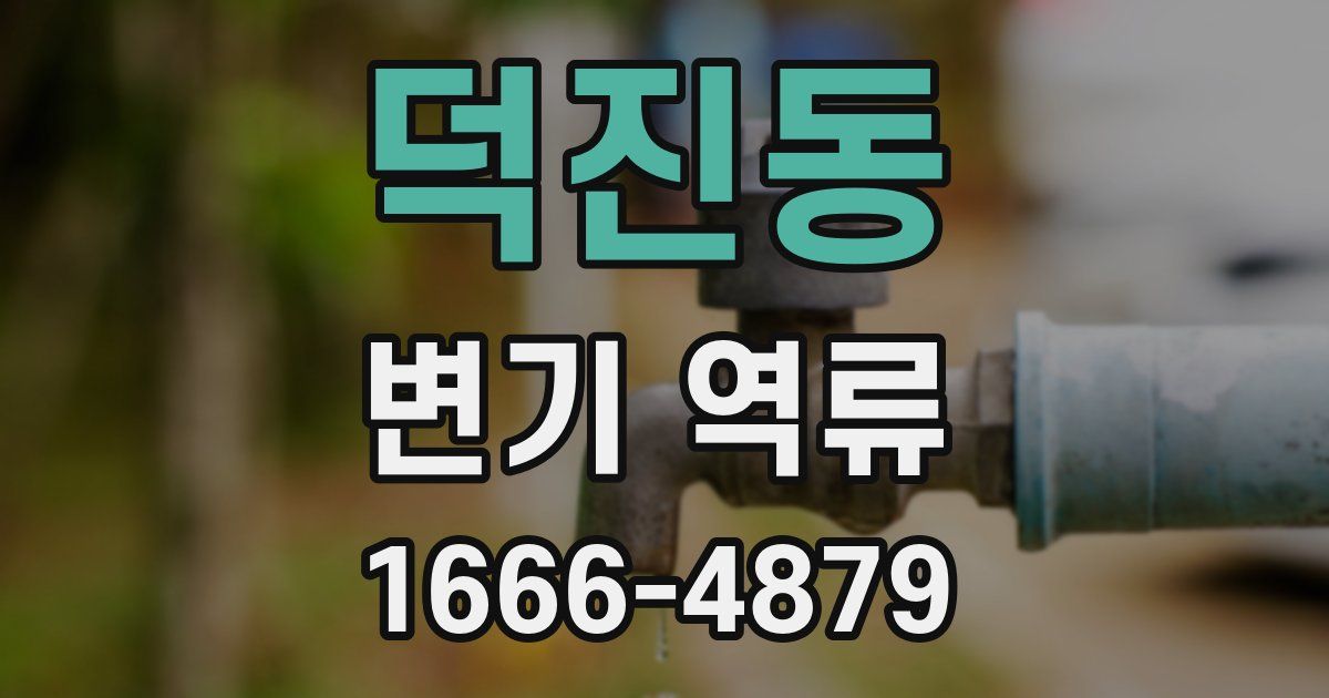 덕진동 변기 역류