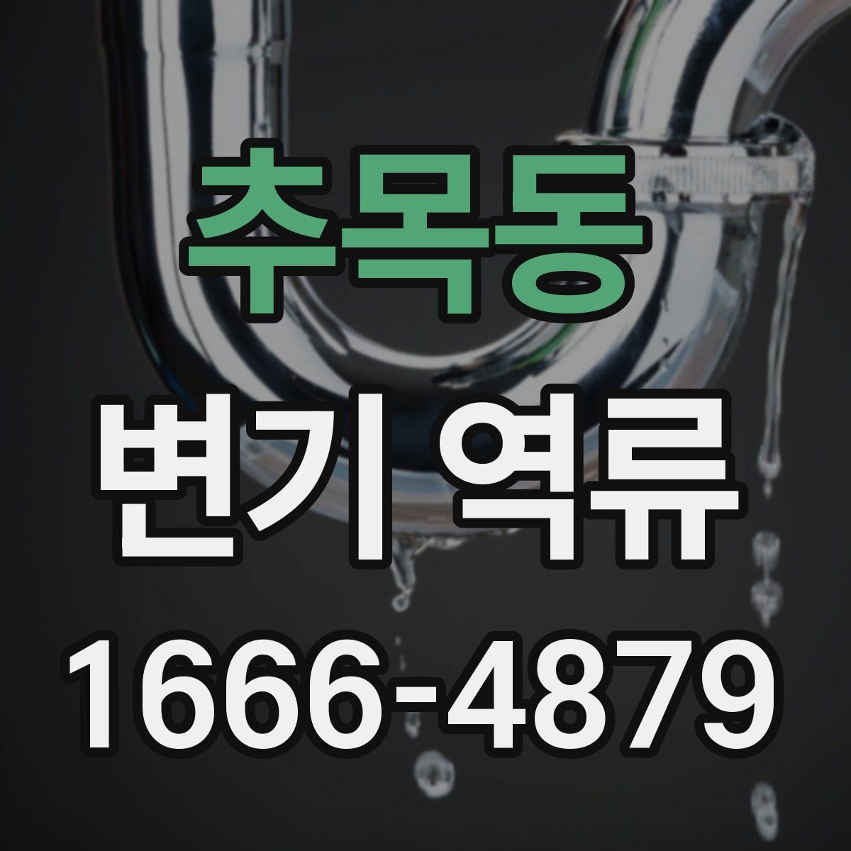추목동 변기 역류