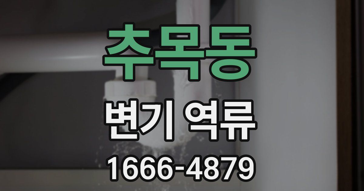 추목동 변기 역류