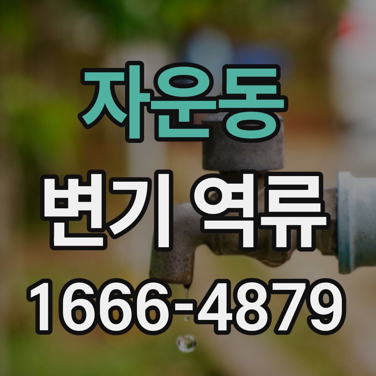 자운동 변기 역류