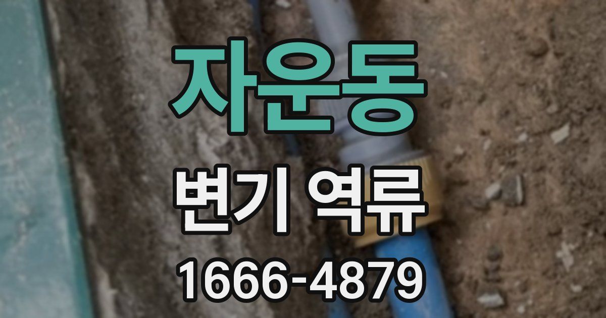 자운동 변기 역류