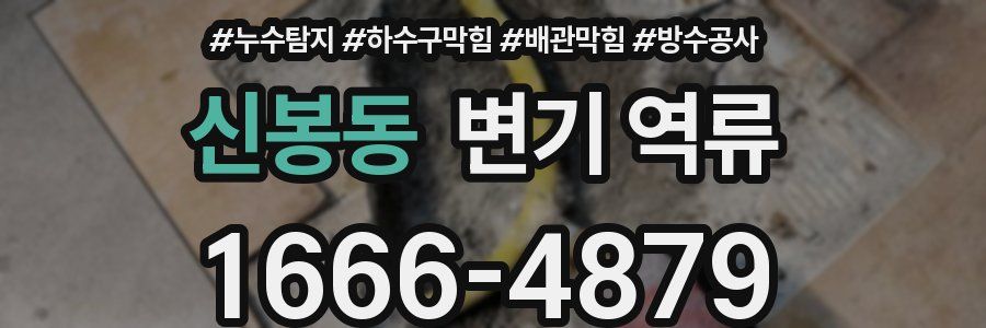 신봉동 변기 역류
