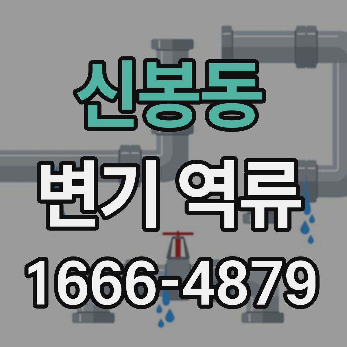 신봉동 변기 역류