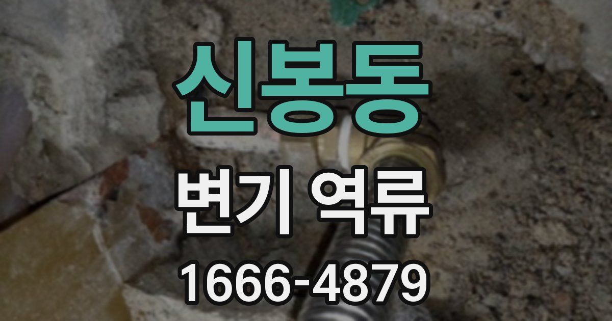 신봉동 변기 역류