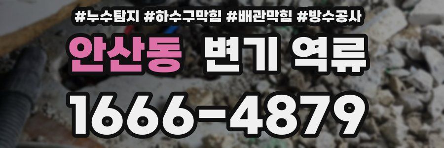 안산동 변기 역류