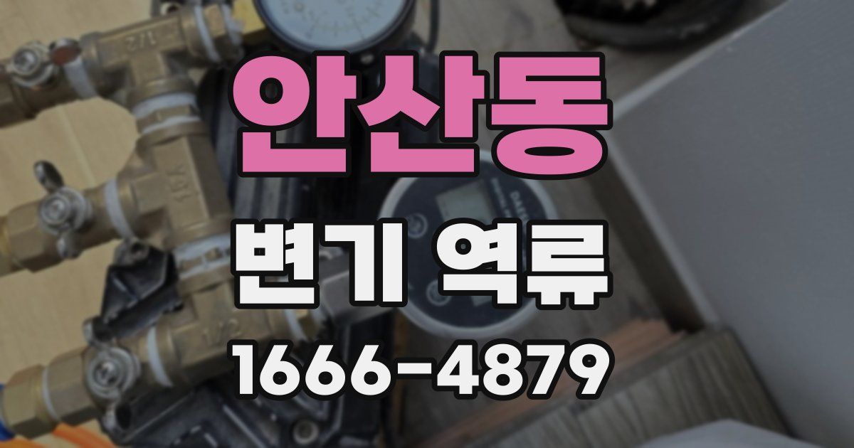 안산동 변기 역류