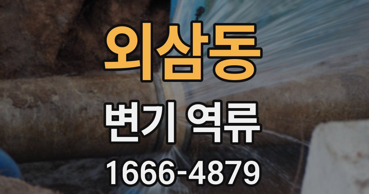 외삼동 변기 역류