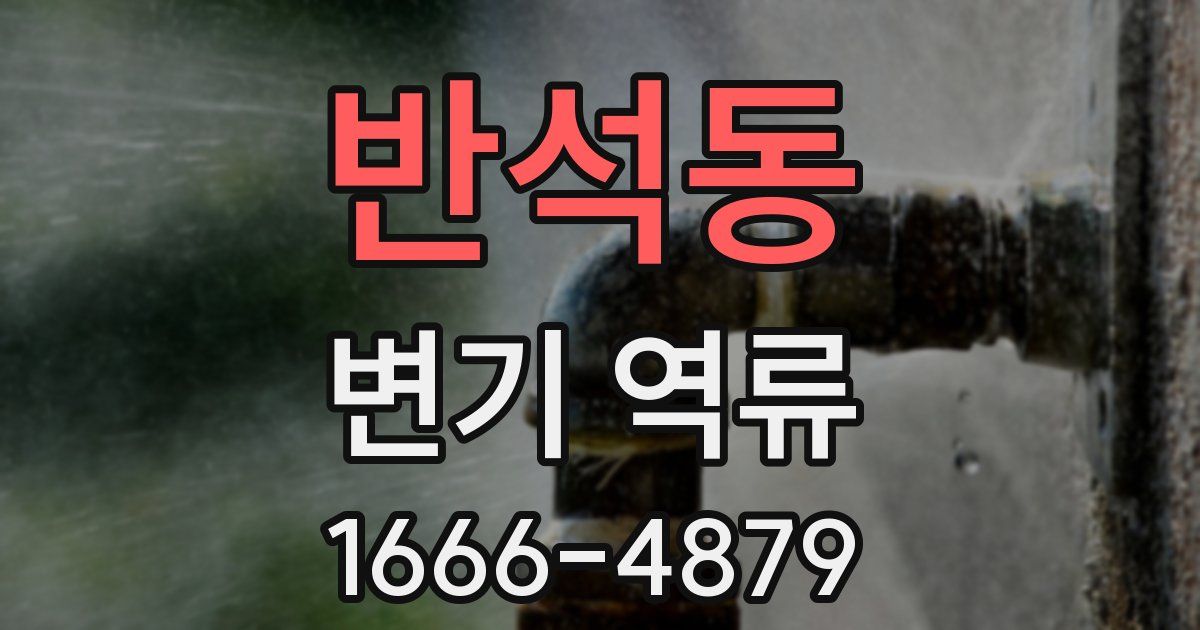 반석동 변기 역류