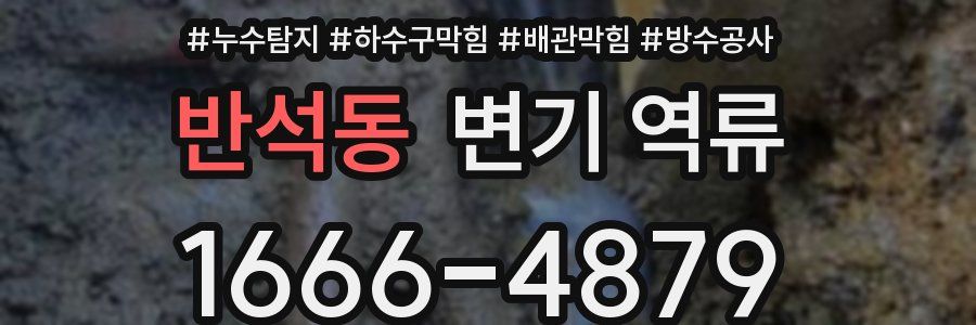 반석동 변기 역류