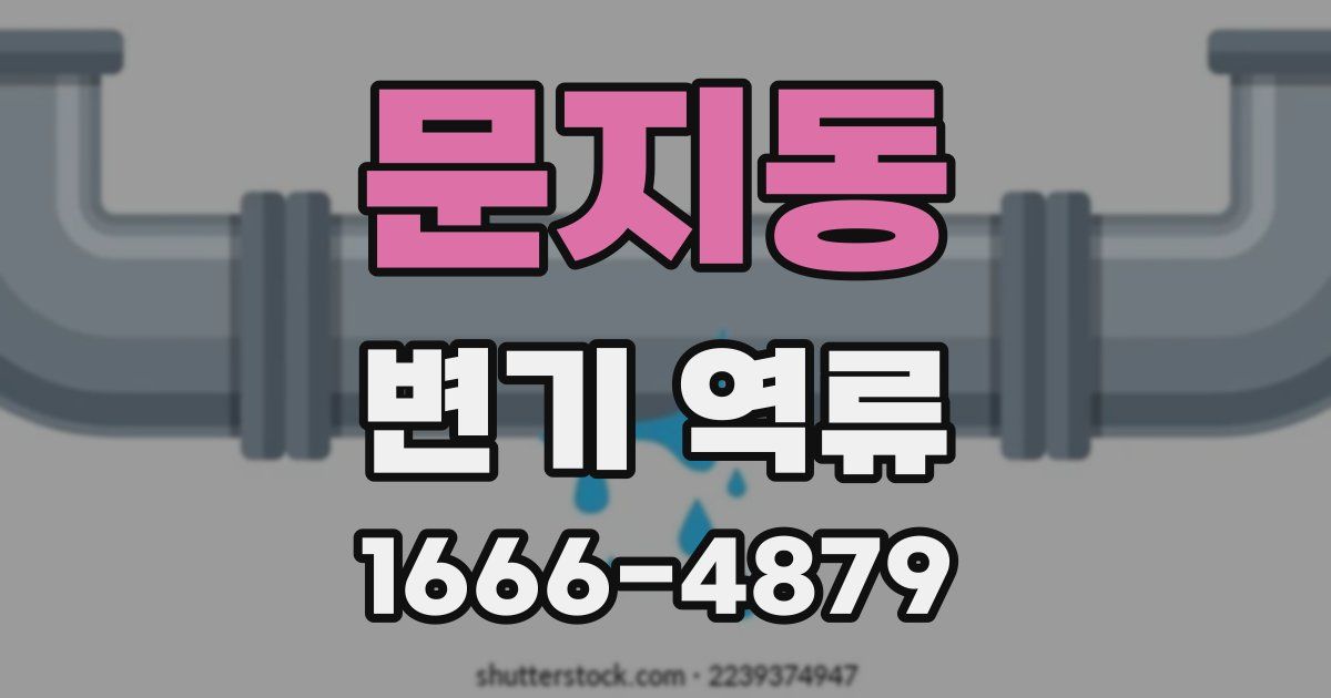 문지동 변기 역류