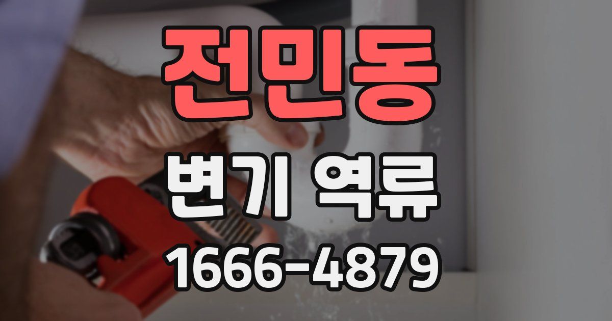 전민동 변기 역류