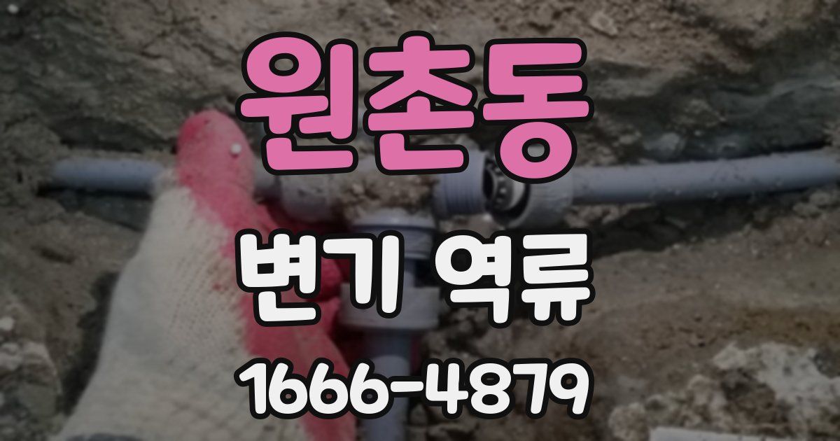 원촌동 변기 역류