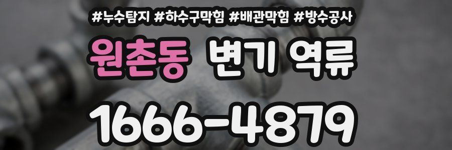 원촌동 변기 역류