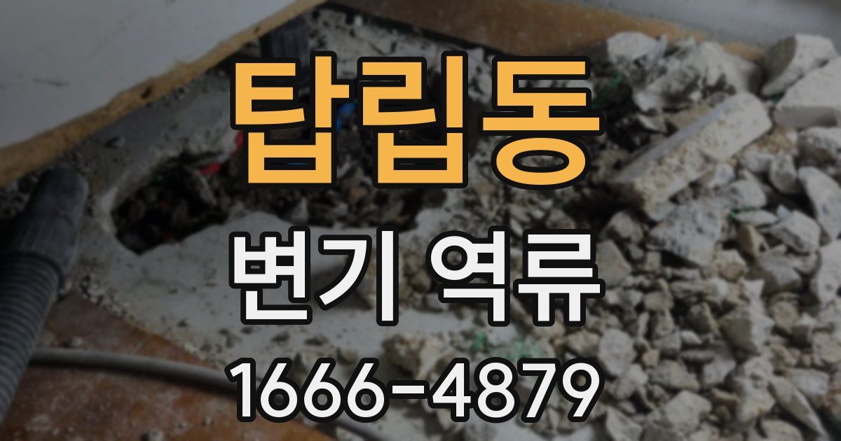 탑립동 변기 역류