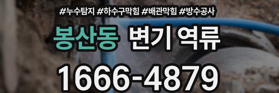 봉산동 변기 역류