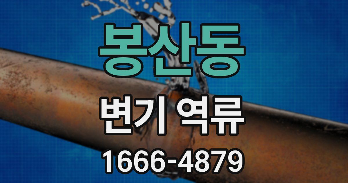 봉산동 변기 역류