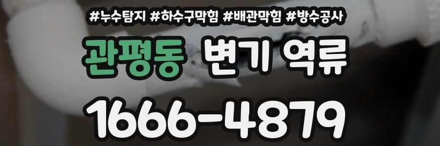 관평동 변기 역류