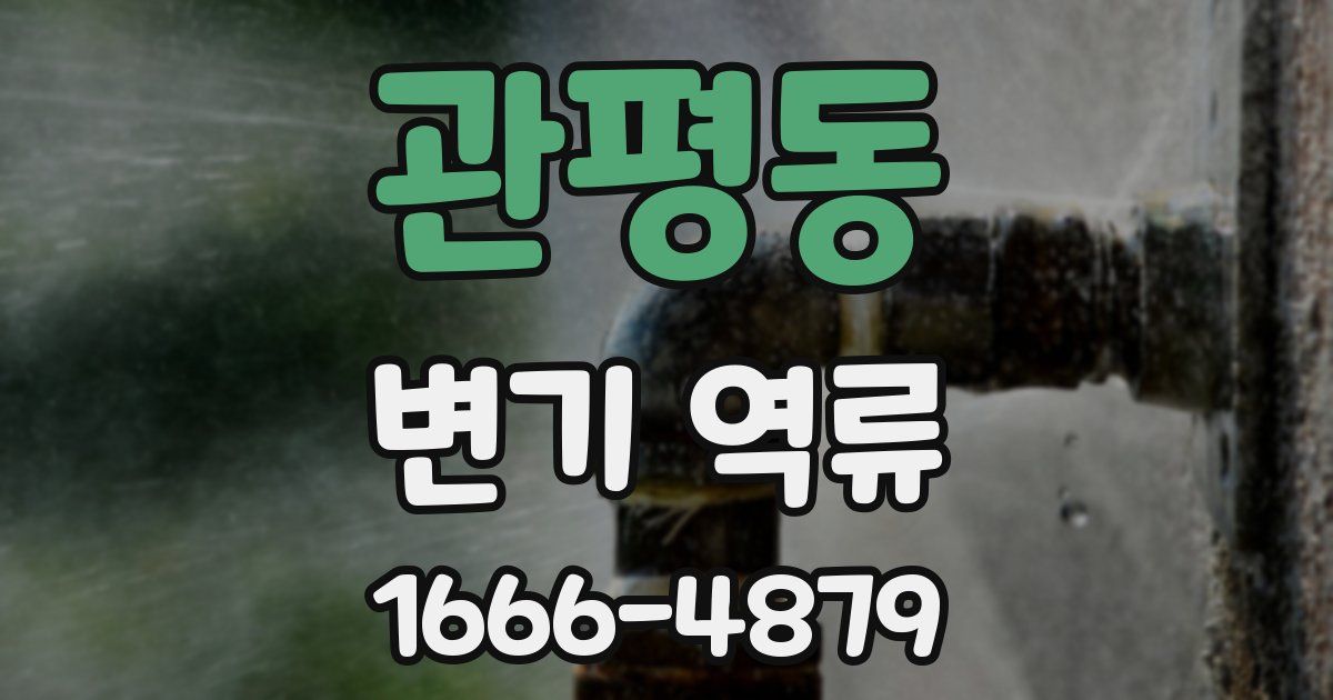 관평동 변기 역류