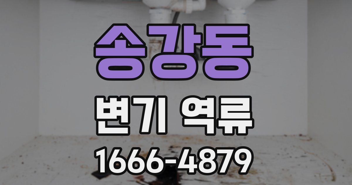 송강동 변기 역류