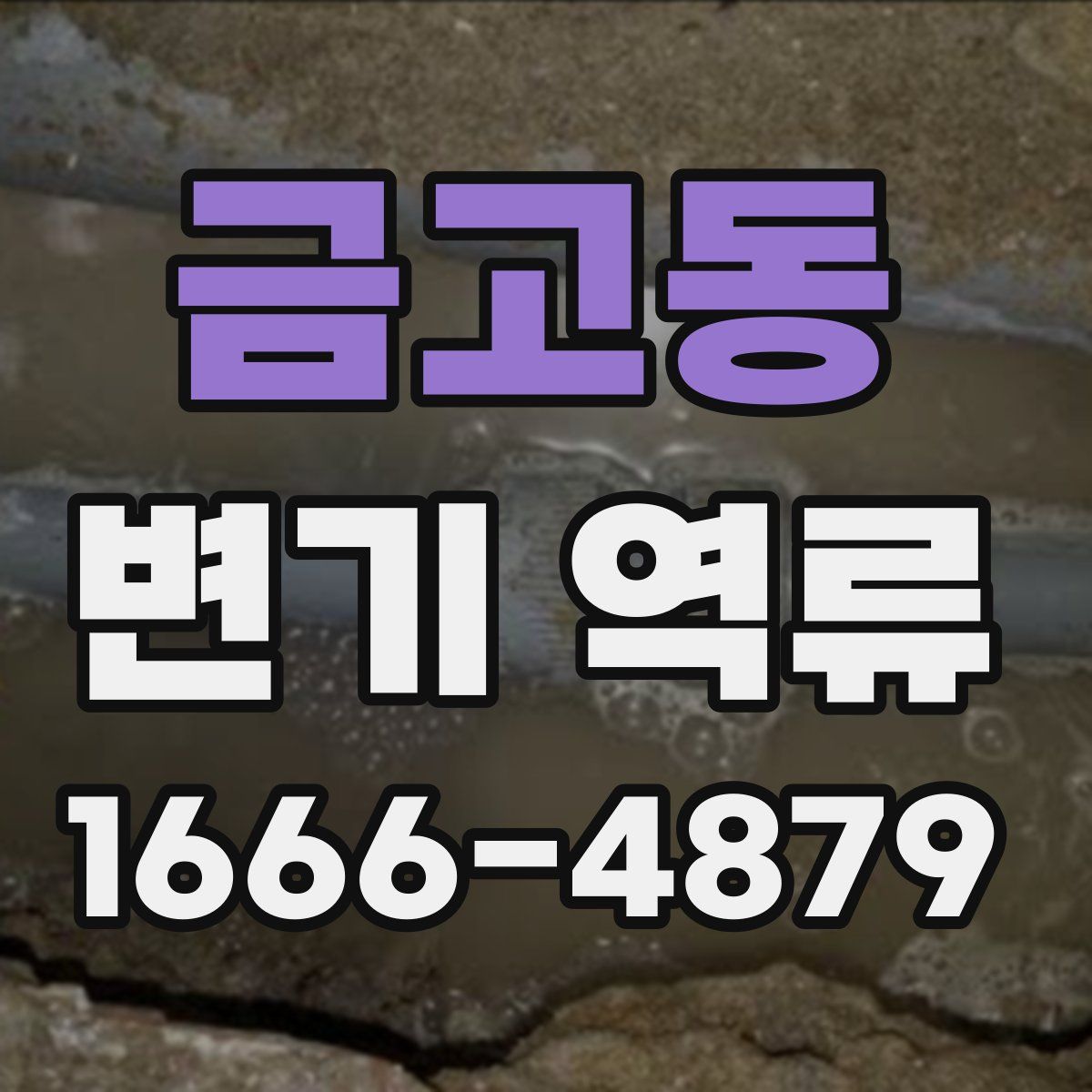 금고동 변기 역류