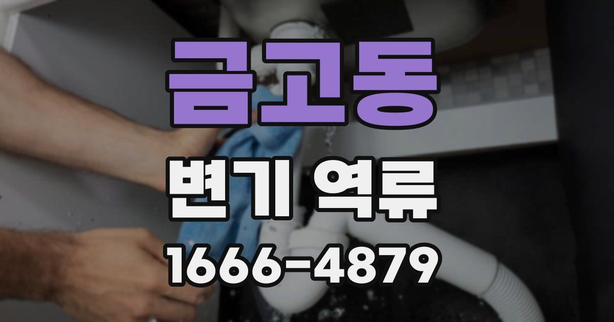 금고동 변기 역류