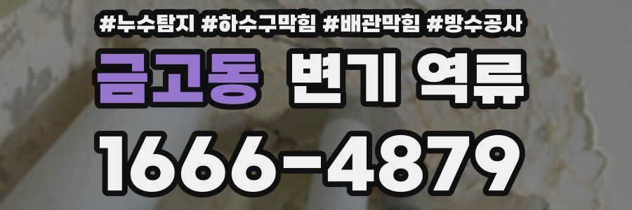 금고동 변기 역류