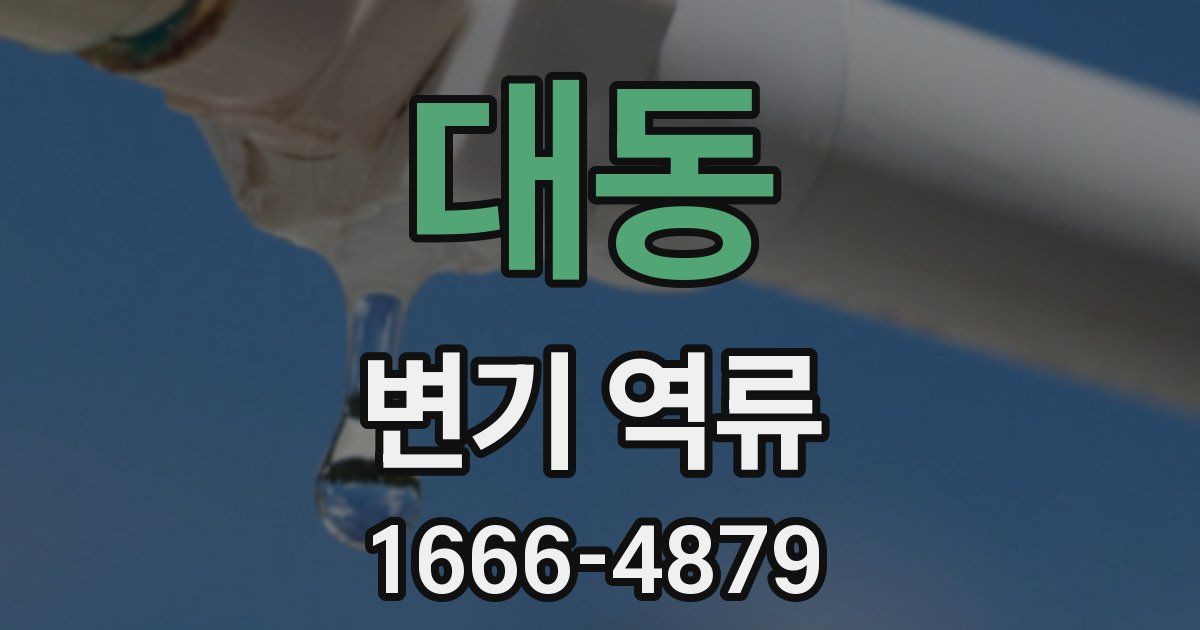 대동 변기 역류
