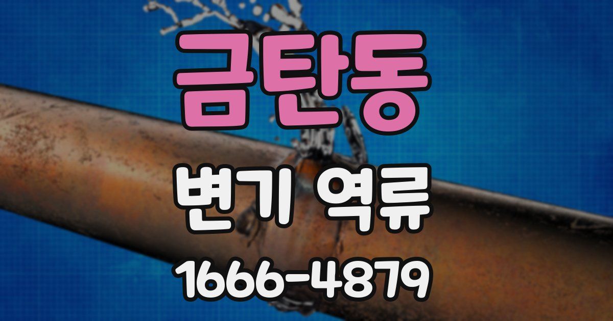 금탄동 변기 역류