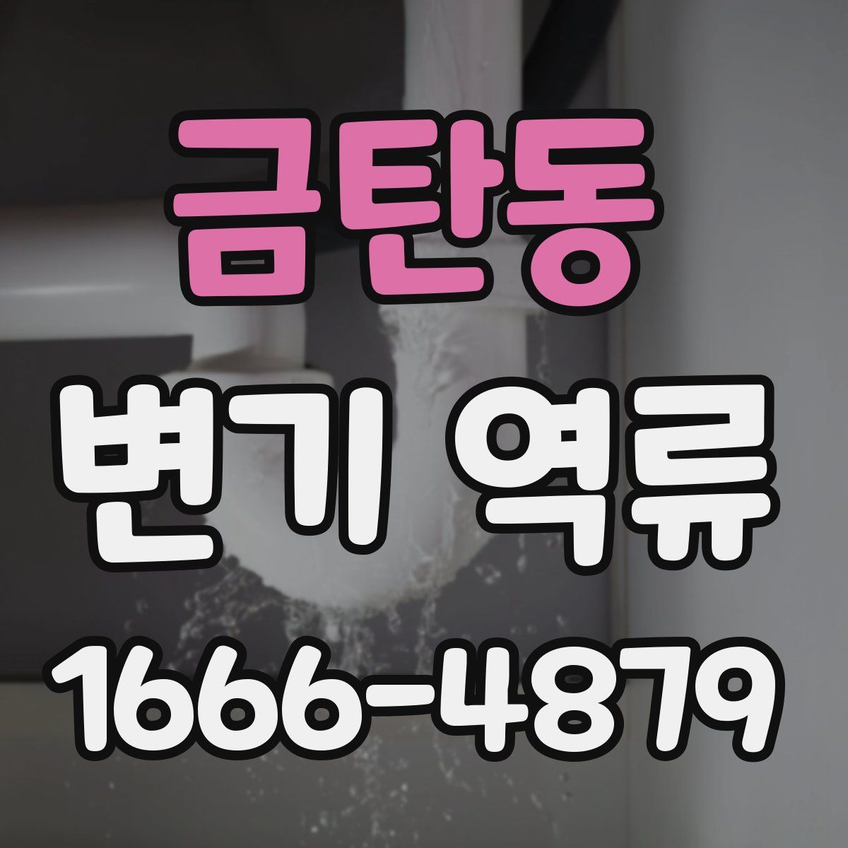 금탄동 변기 역류