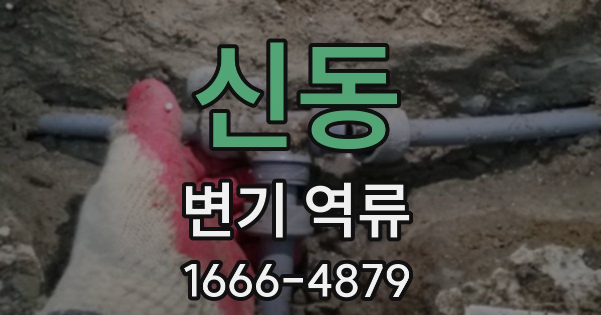 신동 변기 역류